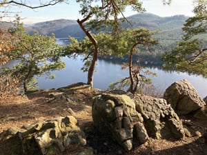 foto4